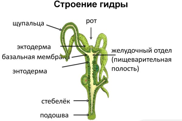 Кракен официальная kr2web in