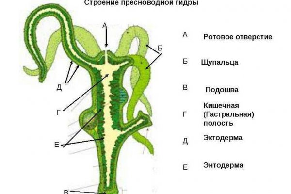 Кракен онион kraken014 com