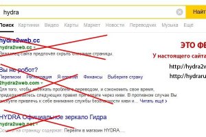 Гидра в даркнете